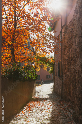 Germany, Rhineland-Palatinate, Freinsheim, city wall and empty alley in autumn photo
