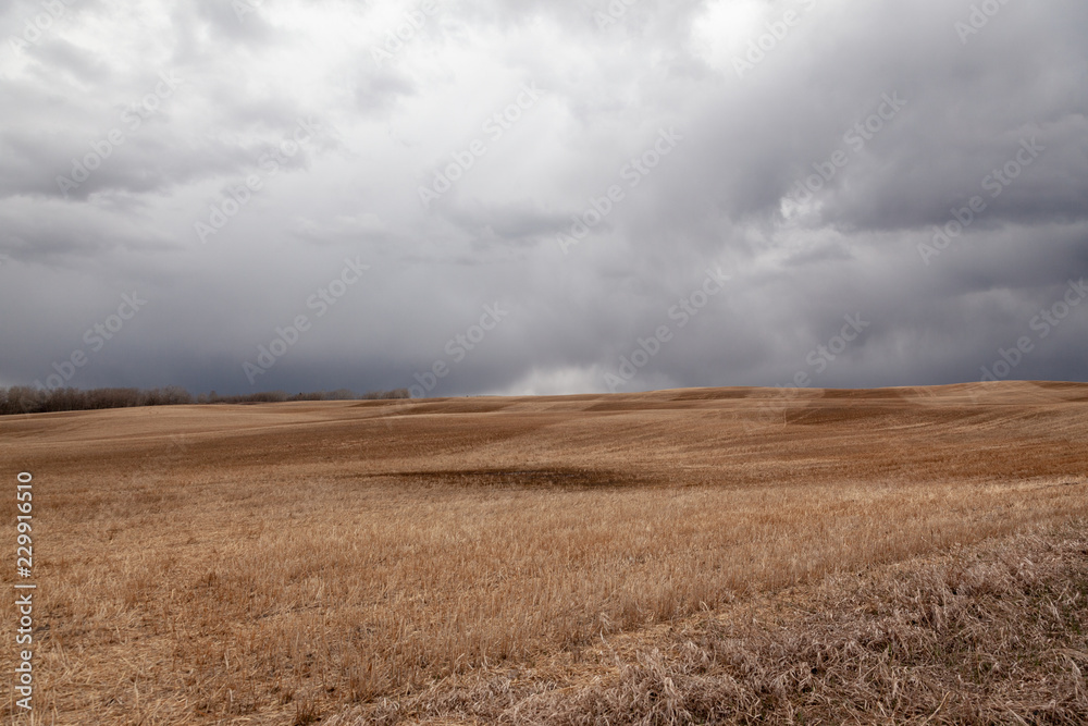 Storm forming with stormy cloud over a hay field in Alberta Storm forming with stormy cloud over a hay field in Alberta