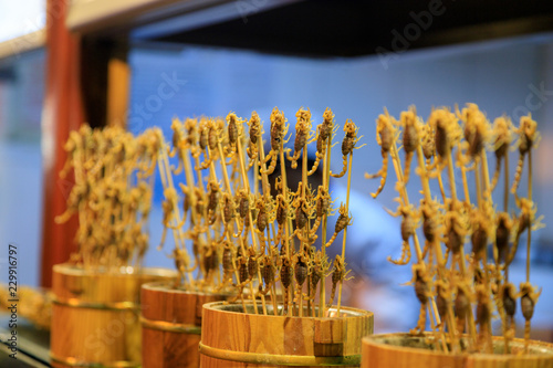 Steetfood in China Skorpiona am Spieß