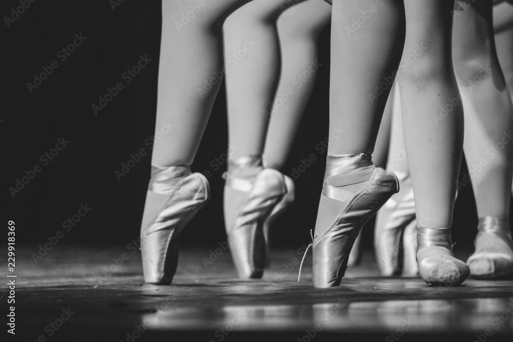 Sapatilhas, Ballet Sapatilhas, Ballet
