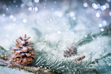 Magic Winter Forest Background