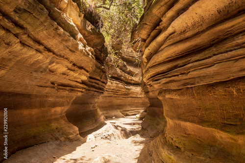 Water erosion physiognomy