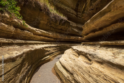 Water erosion physiognomy