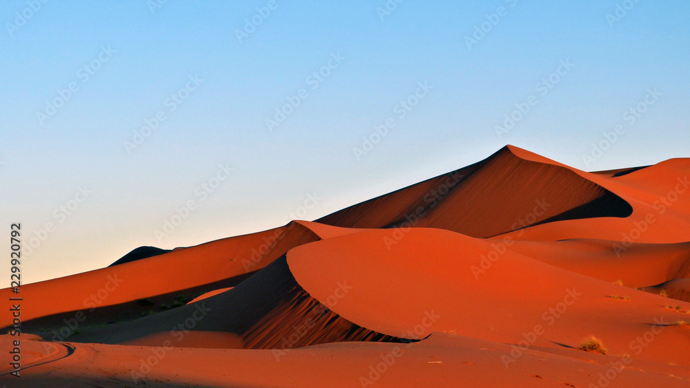 Red desert at sunset
