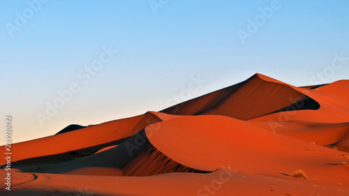 Red desert at sunset