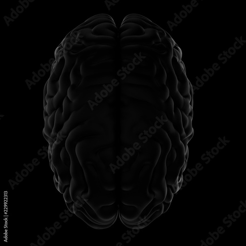 3D Illustration of human brain. Black background
