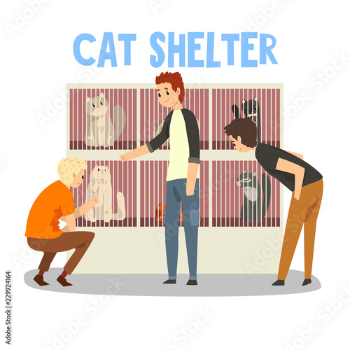 Cat shelter, people adopting cat pet from animal shelter vector Illustration on a white background