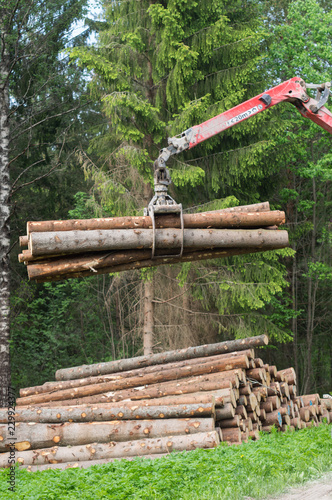 Timber gripper crane hauling trunks in summer. Forest industry equipment in action. Logs ready for transportation. Timber truck