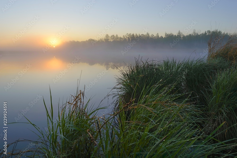 Misty dawn on the taiga lake. Bolon nature reserve. Khabarovsk region, far East, Russia. Misty dawn on the taiga lake. Bolon nature reserve. Khabarovsk region, far East, Russia.