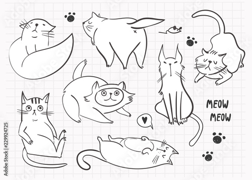 Hand drawn various cats. Graphic vector set. All elements are isolated