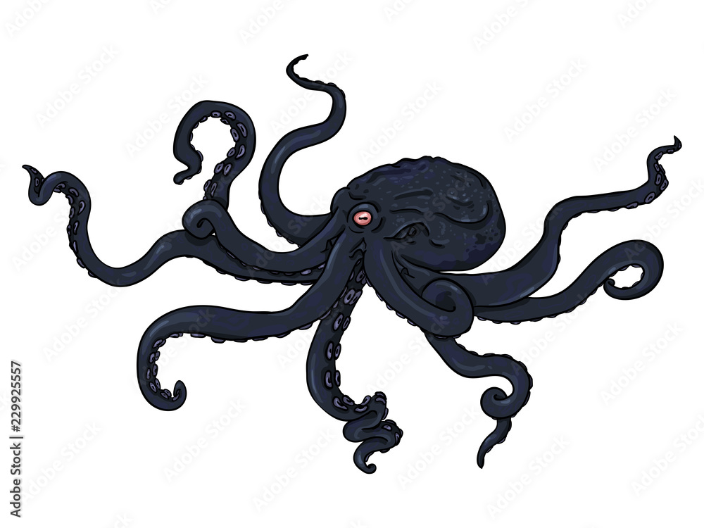 Vector Single Cartoon Illustration - Black Octopus. Wild Underwater ...