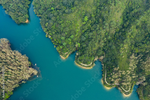 Top view of Lake and forest
