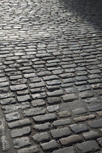 Photography Cobblestone Street, Temple Bar