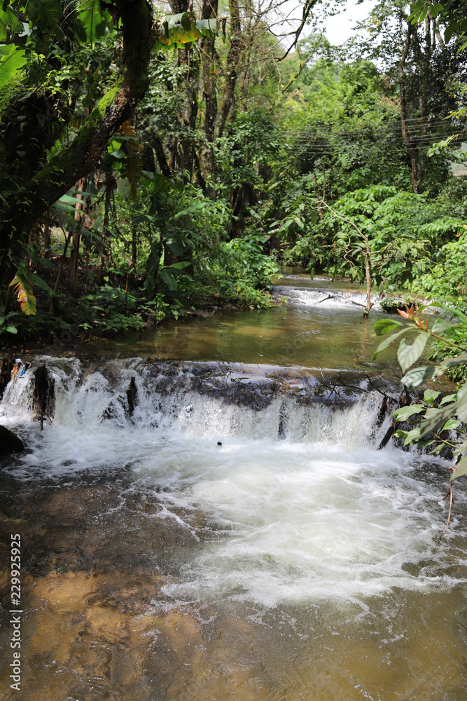 Vertical view of waterfall in the tropical forest in sunny day of summer. Vertical view of waterfall in the tropical forest in sunny day of summer.