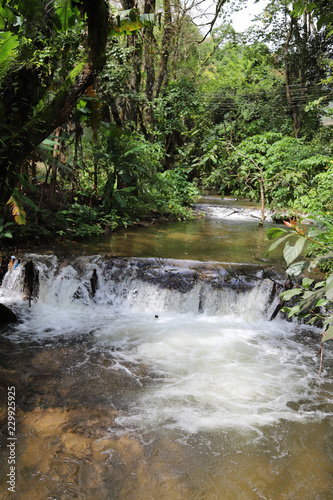 Vertical view of waterfall in the tropical forest in sunny day of summer. 