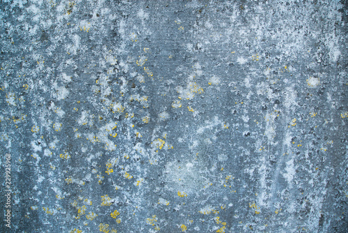 Wallpaper Mural OLD WALL MOLD  Torontodigital.ca