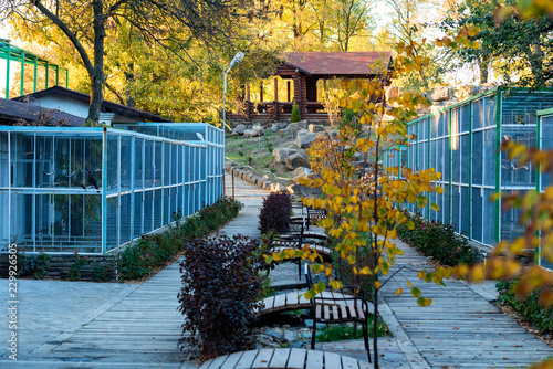 Photography Bird cages in the outdoor zoo with benches