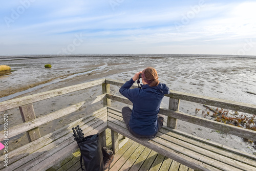 Vögel beobachten am Wattenmeer / Insel Amrum photo