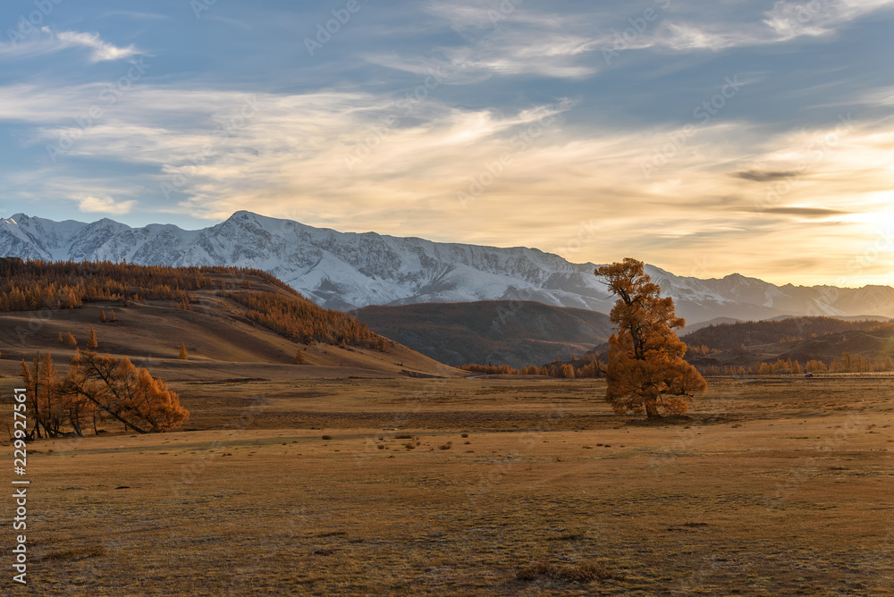 Naklejka premium mountains tree autumn sunset sky