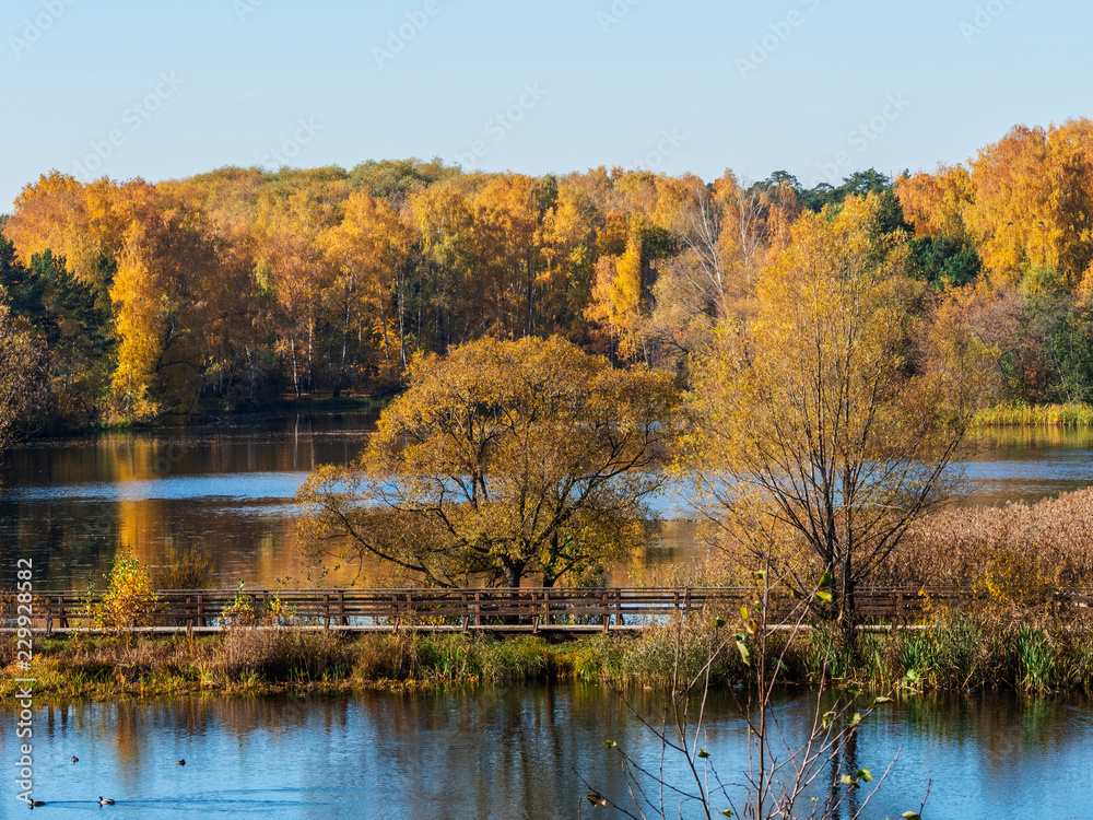 Autumn at the lake