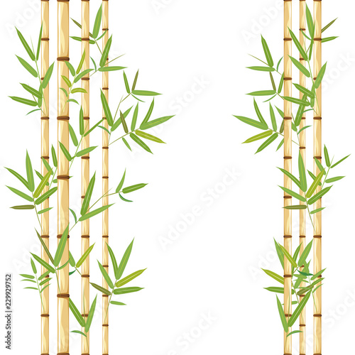 Stalks of bamboo