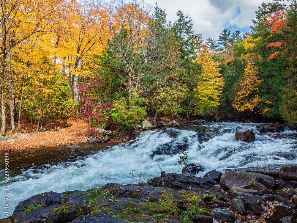 Wild Water Preserve