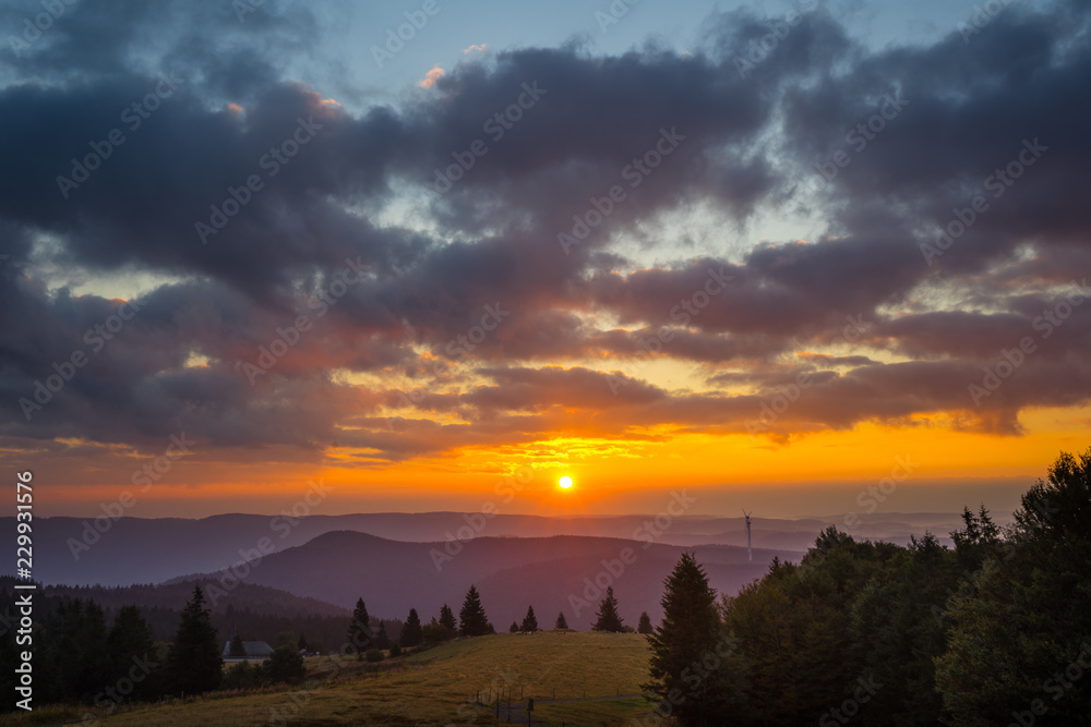 Germany, Black forest sunrise on top of mountain Kandel in nature landscape