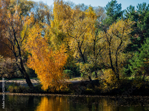 Autumn coast