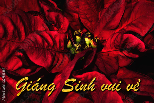 The Vietnamese text 