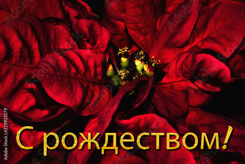 The Russian text 