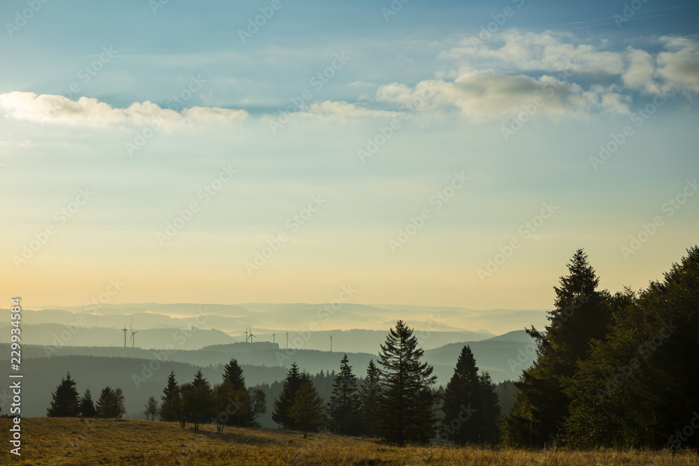 Germany, Endless untouched black forest nature landscape after sunrise in golden hour Germany, Endless untouched black forest nature landscape after sunrise in golden hour