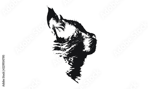 Cat Sketch Vector