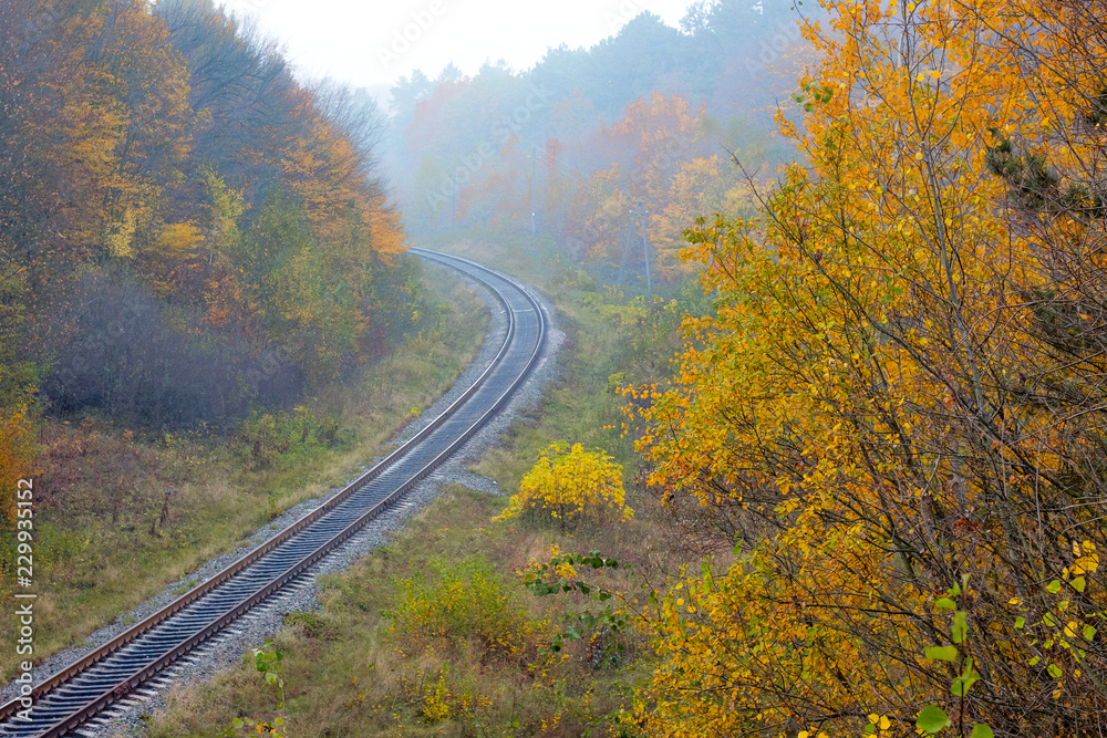 The railroad that runs through the autumn forest is a top view_ The railroad that runs through the autumn forest is a top view_