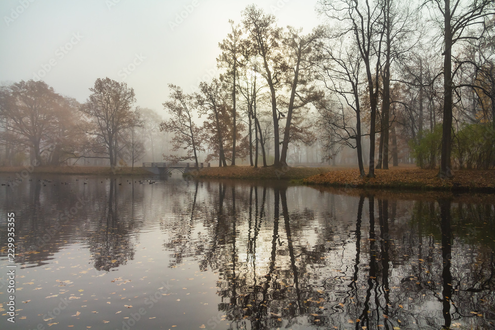 Autumn Pond in Alexander Park, Pushkin, St. Petersburg Autumn Pond in Alexander Park, Pushkin, St. Petersburg