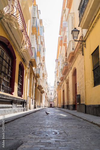Calle amarilla en Cadiz, Andalucia, España © Azahara