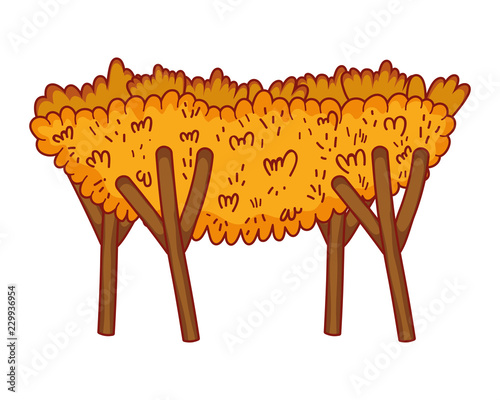 wooden manger cartoon