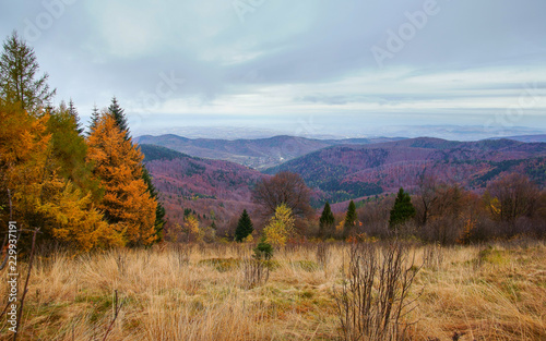 beskid maly