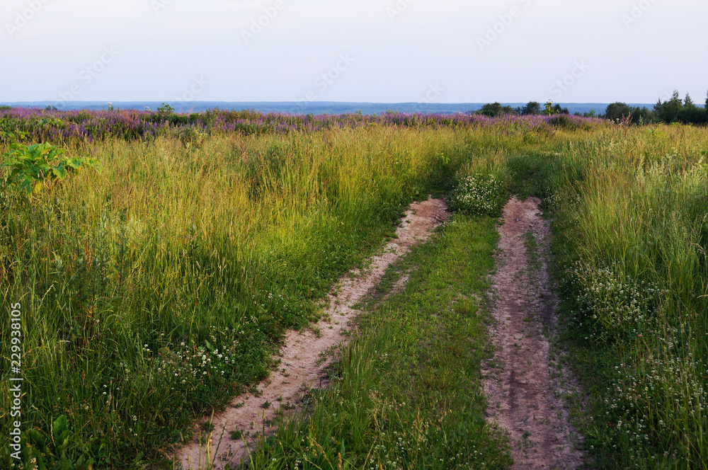 Obraz premium Road to field