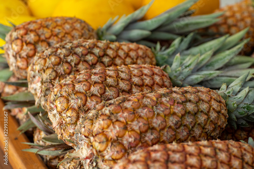 Pineapple sold in the market. Pineapple sold in the fruit market. Pineapples are harvested from the farm were piled up waiting to be sold. 