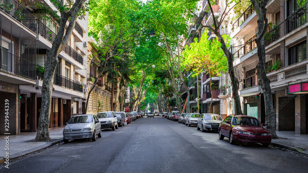 Tree-lined Street in the Recoleta Neighborhood of Buenos Aires, Argentina