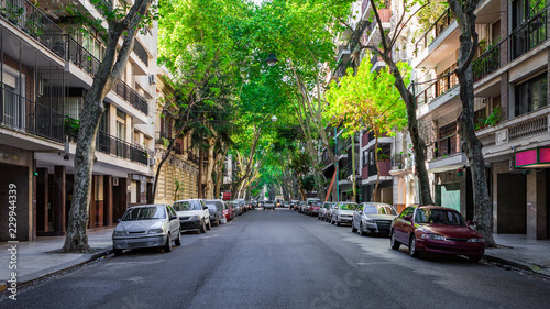 Tree-lined Street in the Recoleta Neighborhood of Buenos Aires, Argentina photo