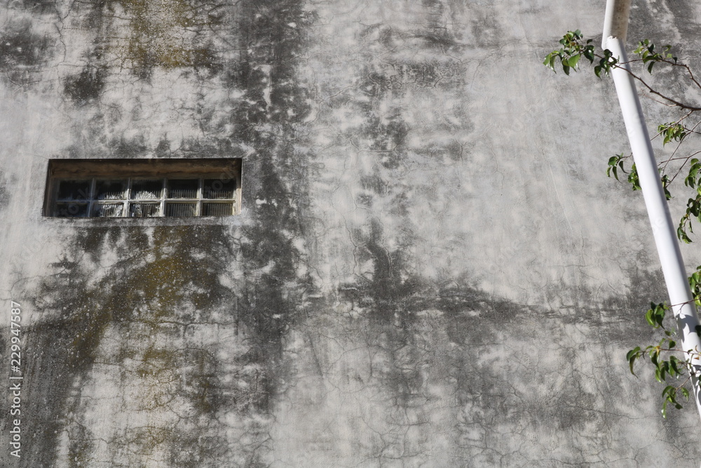 pared de concreto y verde pared de concreto y verde