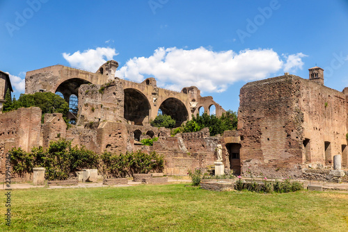 Basilica of Constantine view from House of the Vestals, Roman Forum, Rome, Italy.