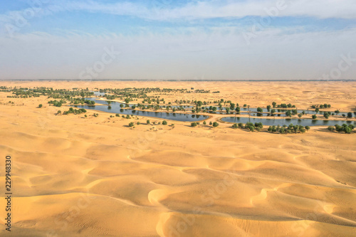 Lakes and trees in a beautiful oasis in the desert. Dubai, UAE.