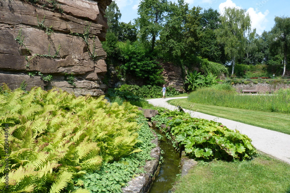 Wassergraben und Farn im Höhenpark Killesberg