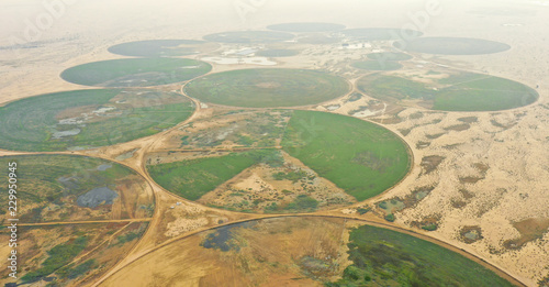 Canvas Print Circular green irrigation patches for agriculture in the desert