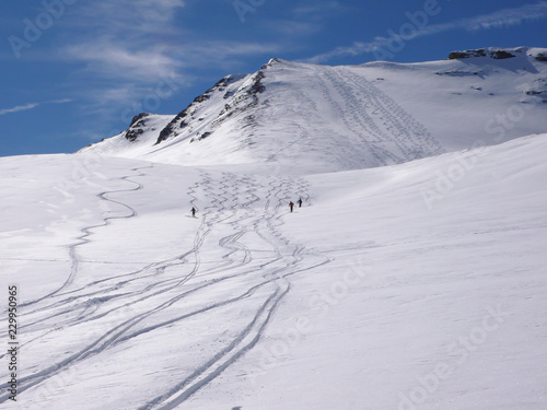 three backcountry skiers enjyoing a ski descent in fresh powder in the Swiss Alps photo