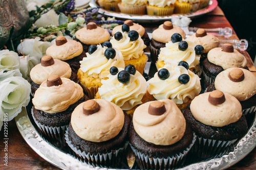 Dessert Cupcake Plate