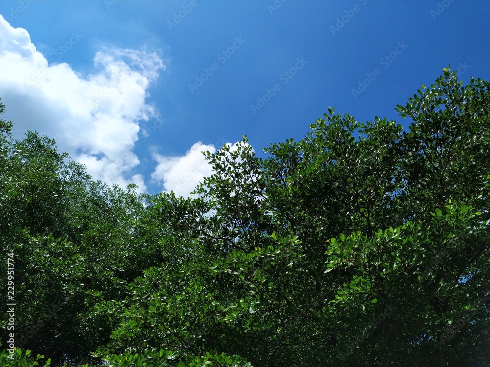 Sky Cloud outdoor Sky Cloud outdoor