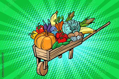 autumn harvest in a wooden farm wheelbarrow